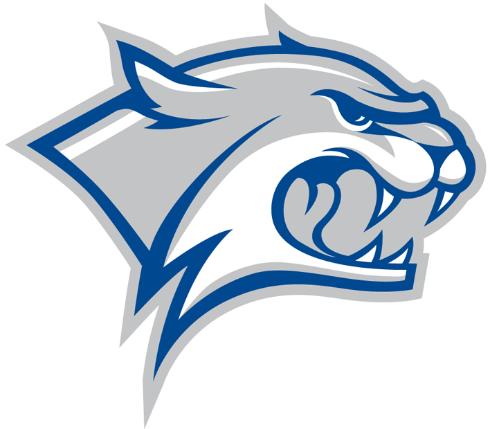 New Hampshire Wildcats 2000-Pres Partial Logo diy iron on heat transfer...